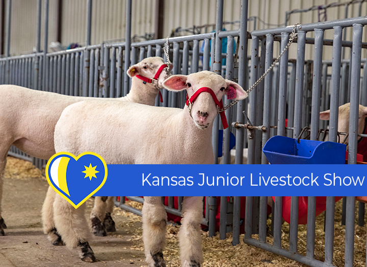 Event Promo Photo For 2024 Kansas Jr. Livestock Show
