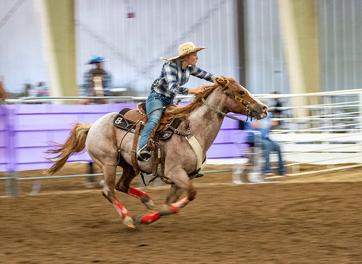 Quarter Horse Association Celebrating Kansas Horse Show Photo - Click Here to See